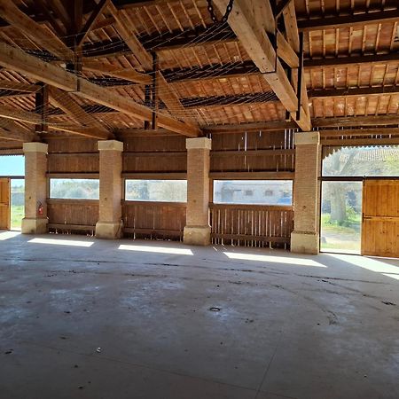 Mas De Bonnafoux Villa Beaucaire  Bagian luar foto