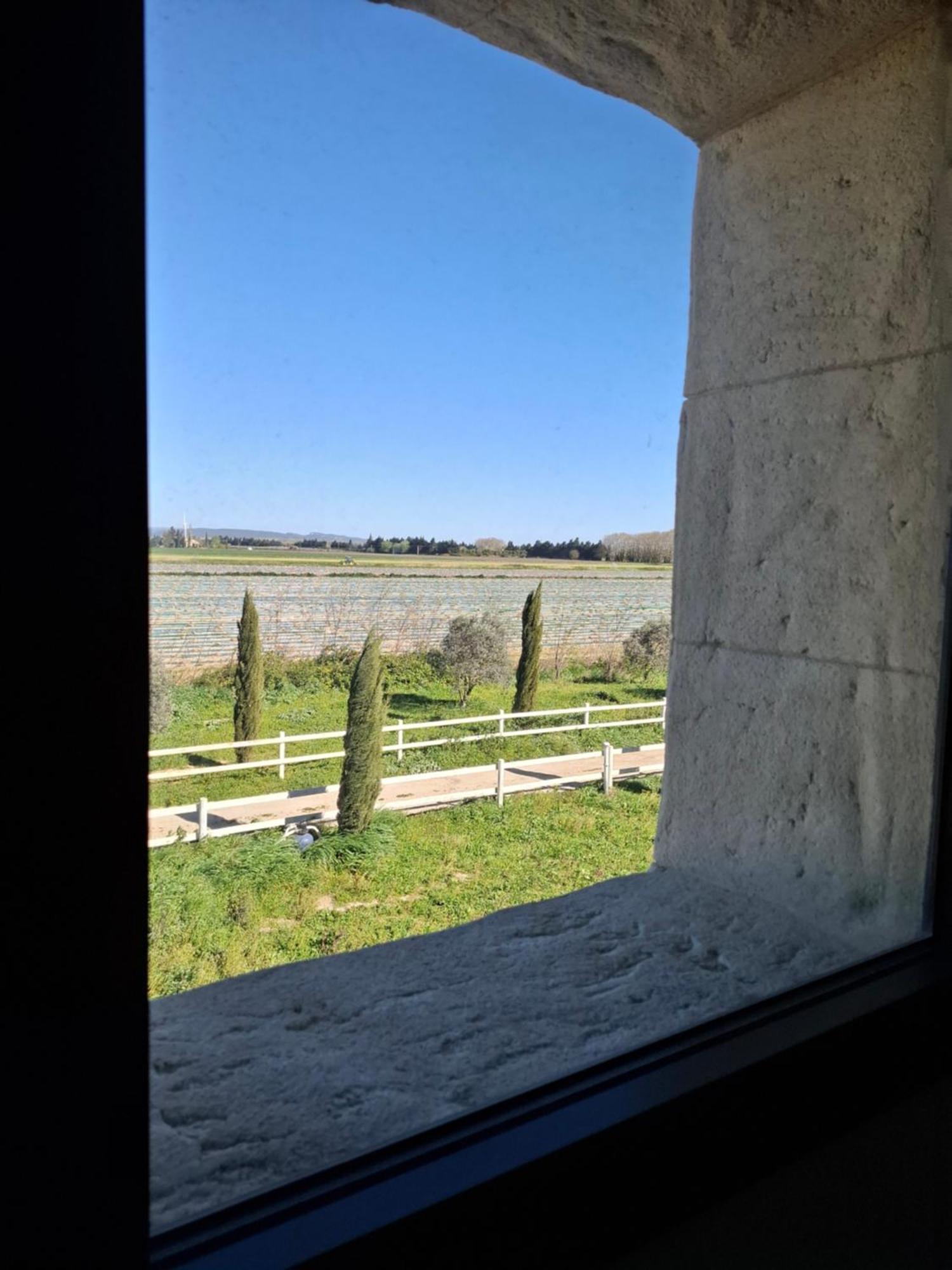 Mas De Bonnafoux Villa Beaucaire  Bagian luar foto